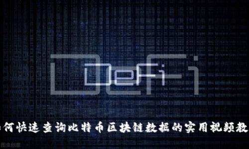 如何快速查询比特币区块链数据的实用视频教程