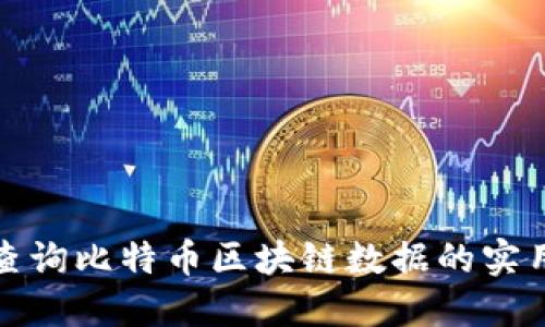 如何快速查询比特币区块链数据的实用视频教程
