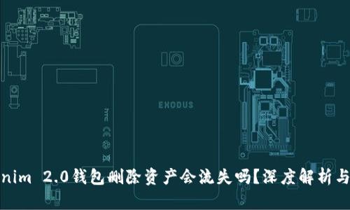 Tokenim 2.0钱包删除资产会流失吗?深度解析与问答
