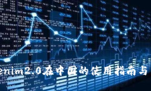 Tokenim2.0在中国的使用指南与策略