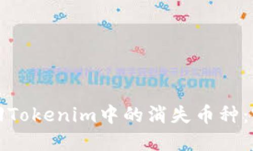 如何找回Tokenim中的消失币种:完整指南