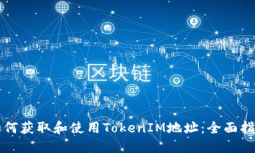 如何获取和使用TokenIM地址:全面指南
