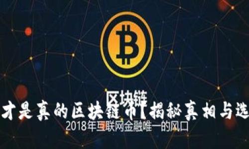 什么币才是真的区块链币?揭秘真相与选择标准