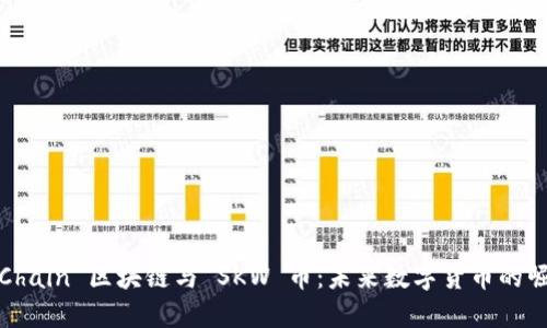 SKChain 区块链与 SKW 币:未来数字货币的崛起