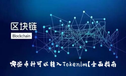 哪些币种可以转入Tokenim?全面指南