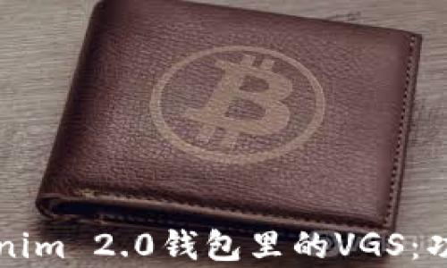 全面了解Tokenim 2.0钱包里的VGS:功能与优势解析