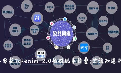深入分析Tokenim 2.0的提现手续费:你该知道的一切