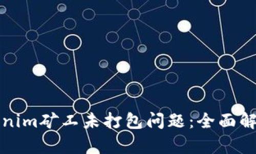 如何解决Tokenim矿工未打包问题:全面解析与解决方案