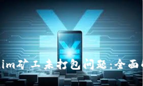 如何解决Tokenim矿工未打包问题:全面解析与解决方案