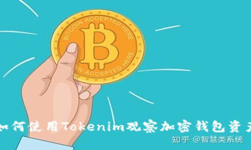如何使用Tokenim观察加密钱包资产