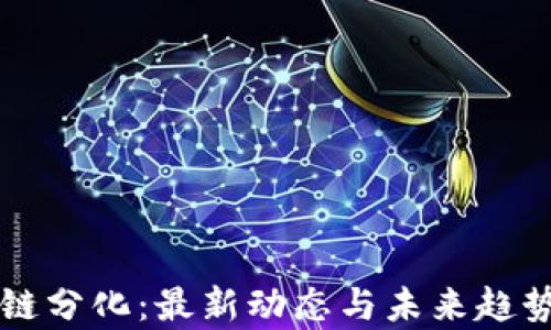 区块链分化:最新动态与未来趋势分析