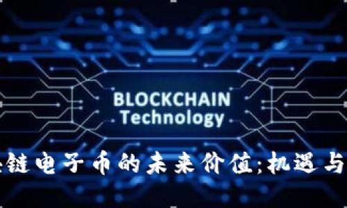 区块链电子币的未来价值:机遇与挑战