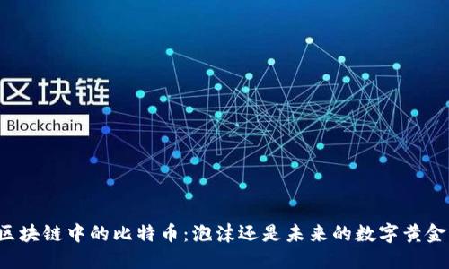 区块链中的比特币:泡沫还是未来的数字黄金?