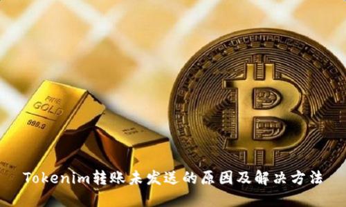 Tokenim转账未发送的原因及解决方法