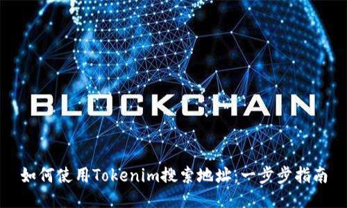 如何使用Tokenim搜索地址：一步步指南