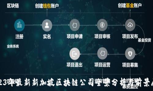 2023年最新新加坡区块链公司全景分析与前景展望