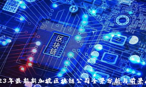 2023年最新新加坡区块链公司全景分析与前景展望