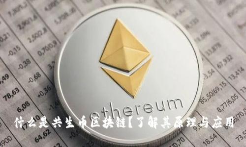 什么是共生币区块链?了解其原理与应用