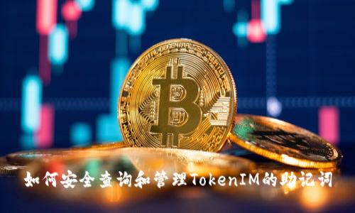 如何安全查询和管理TokenIM的助记词