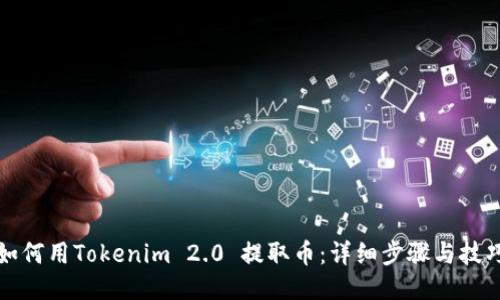 如何用Tokenim 2.0 提取币:详细步骤与技巧