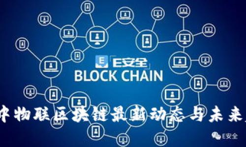 建议:
2023年中物联区块链最新动态与未来趋势探索