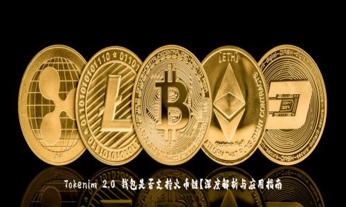 Tokenim 2.0 钱包是否支持火币链?深度解析与应用指南