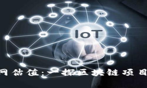 Tokenim官网估值：一探区块链项目的真实价值