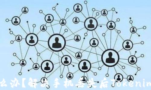 
手机丢了Tokenim怎么办？解决手机丢失后Tokenim登录问题的全面指南