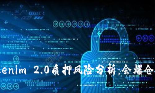 Tokenim 2.0质押风险分析:会爆仓吗?