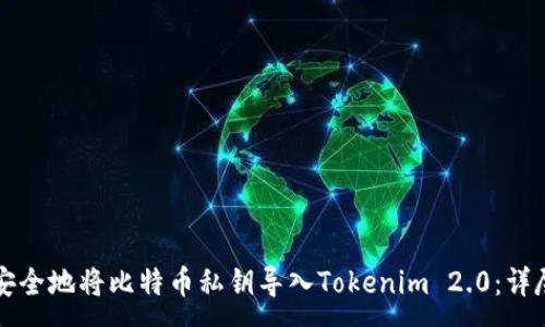 :
如何安全地将比特币私钥导入Tokenim 2.0:详尽指南
