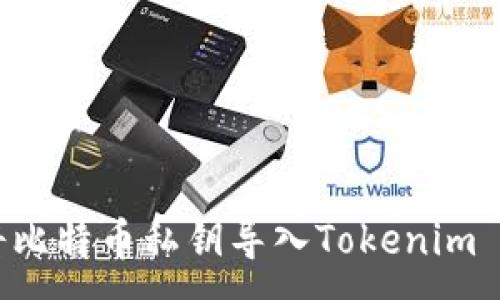 :
如何安全地将比特币私钥导入Tokenim 2.0:详尽指南