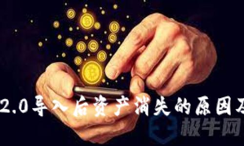 Tokenim 2.0导入后资产消失的原因及解决方案