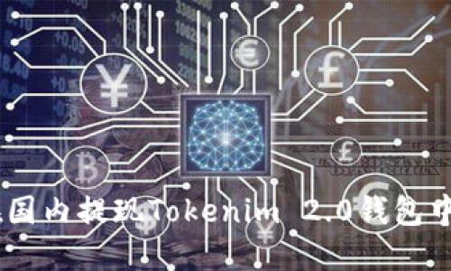 如何在国内提现Tokenim 2.0钱包中的ETH