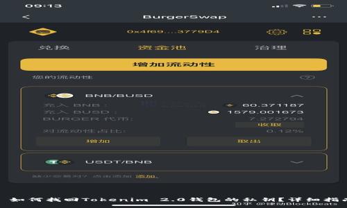 : 如何找回Tokenim 2.0钱包的私钥?详细指南