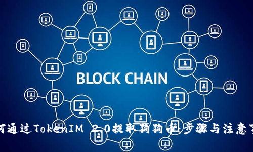如何通过TokenIM 2.0提取狗狗币:步骤与注意事项