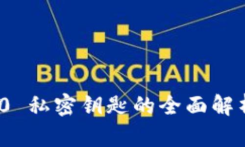 TokenIM 2.0 私密钥匙的全面解析与安全实践