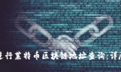 优质  如何进行莱特币区块