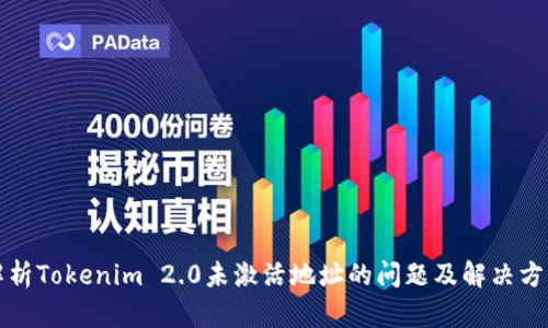 解析Tokenim 2.0未激活地址的问题及解决方案