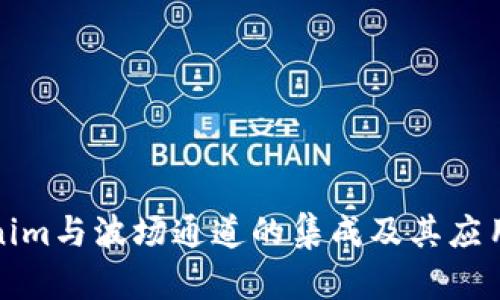 Tokenim与波场通道的集成及其应用分析
