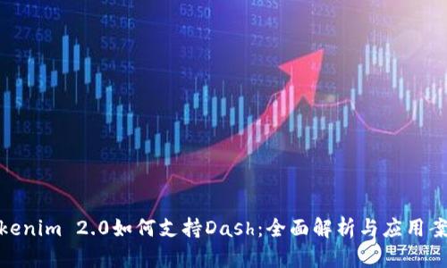 Tokenim 2.0如何支持Dash：全面解析与应用案例