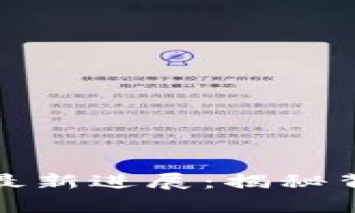 缅甸区块链诈骗案件最新进展：揭秘背后的真相与未来趋势