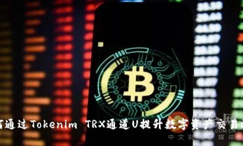 如何通过Tokenim TRX通道U提升数字资产交易效率