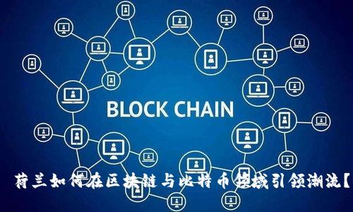 荷兰如何在区块链与比特币领域引领潮流？