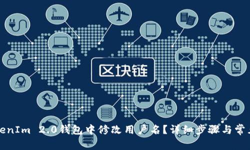 如何在TokenIm 2.0钱包中修改用户名?详细步骤与常见问题解答