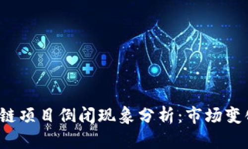 2023年区块链项目倒闭现象分析:市场变化与未来展望