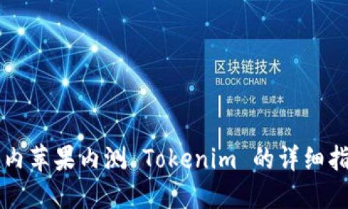 国内苹果内测 Tokenim 的详细指南