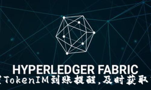 如何设置TokenIM到账提醒,及时获取转账通知