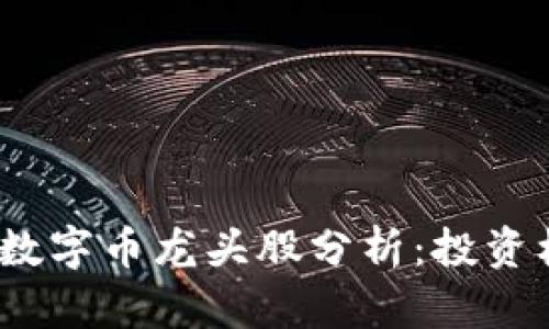 2023年区块链数字币龙头股分析:投资机会与风险探讨