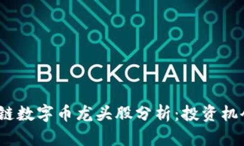2023年区块链数字币龙头股分析:投资机会与风险探讨