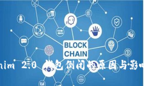 Tokenim 2.0 钱包倒闭的原因与影响分析